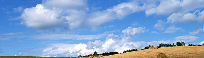 Планета Пластик, ООО